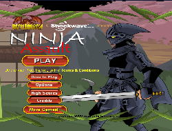 Ninja-Assault
